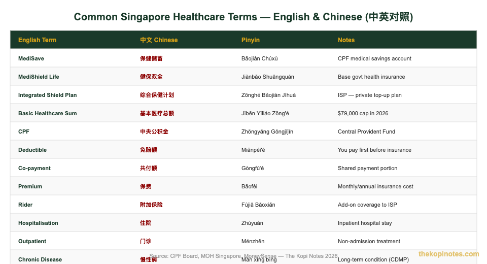 MediSave Chinese-English healthcare terms glossary Singapore 中英医疗词汇 — The Kopi Notes